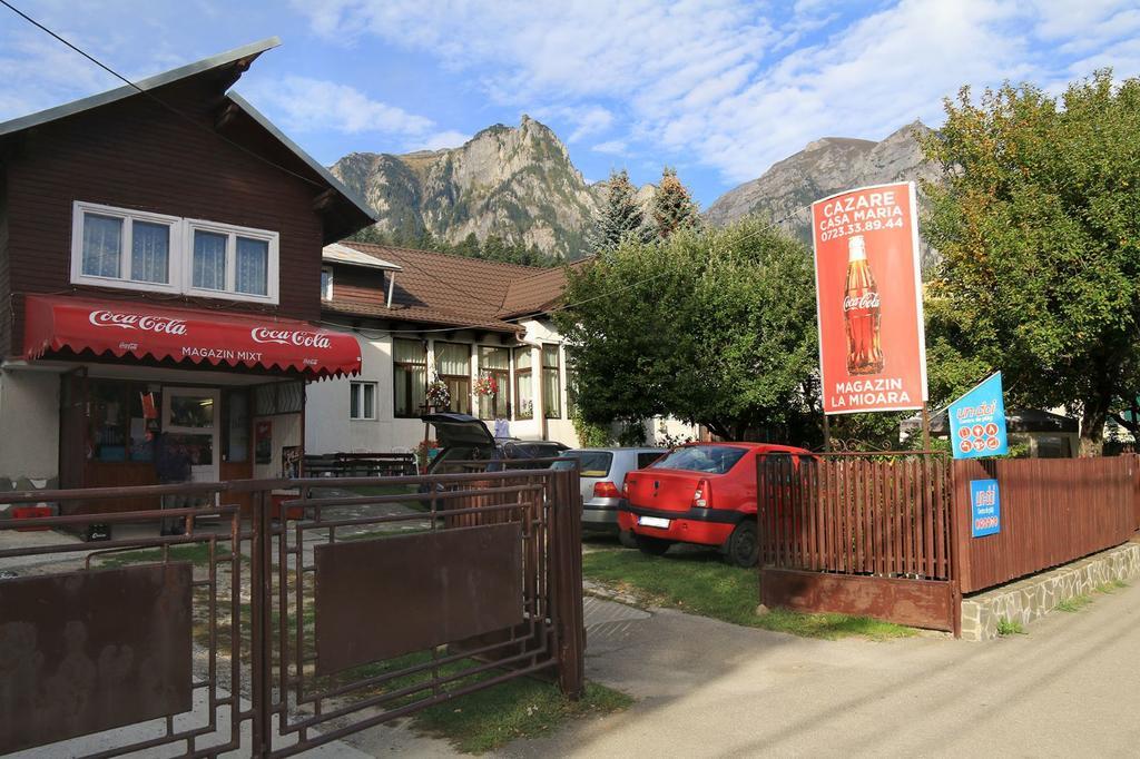 Casa Maria Busteni - Poiana Tapului Экстерьер фото