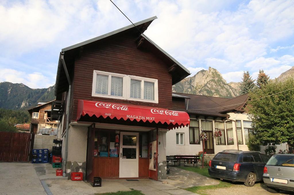 Casa Maria Busteni - Poiana Tapului Экстерьер фото
