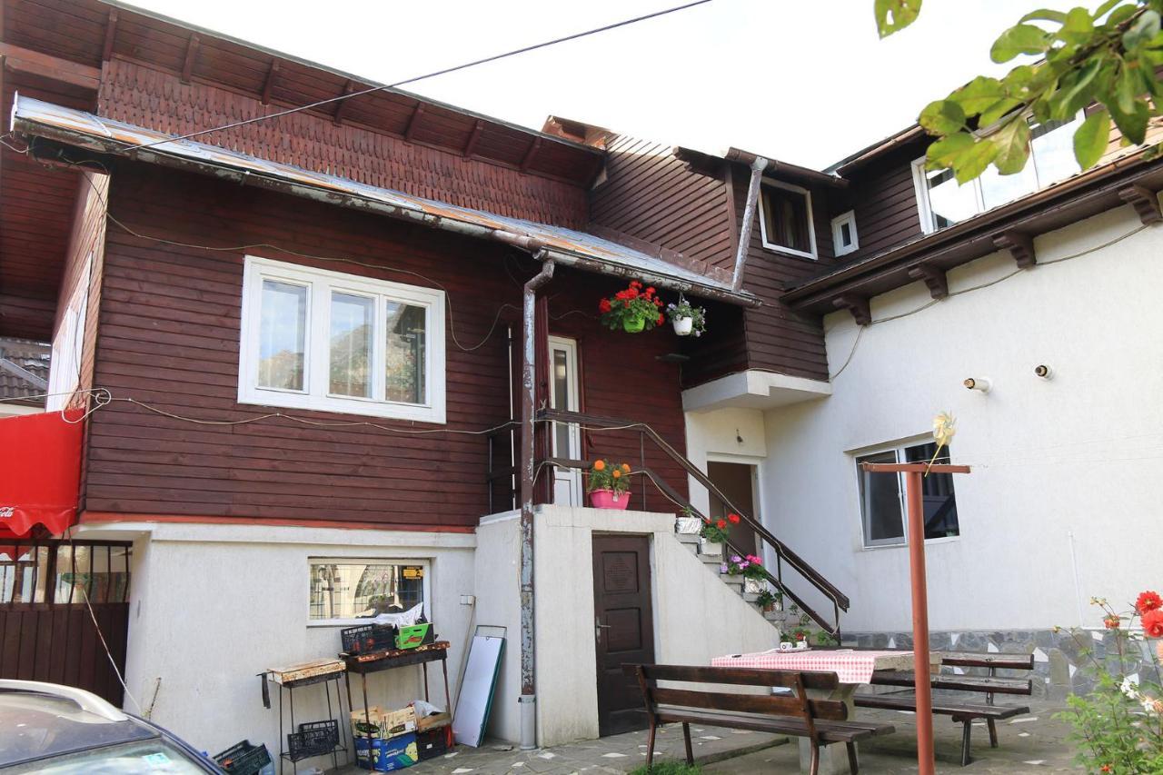 Casa Maria Busteni - Poiana Tapului Экстерьер фото